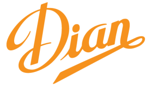 Dian shoes for healthcare and hospitality professionals